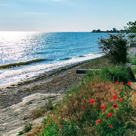 5 Person In Kerteminde