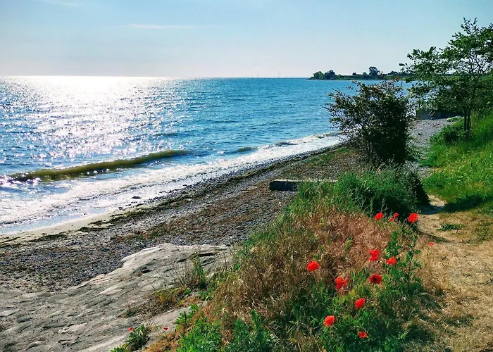 5 Person In Kerteminde